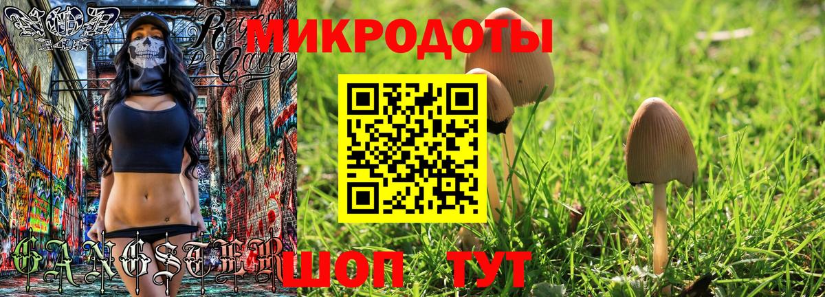 Псилоцибиновые грибы мицелий Серов